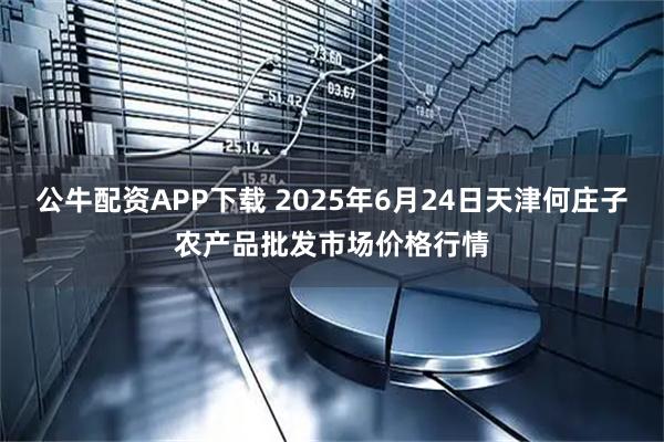 公牛配资APP下载 2025年6月24日天津何庄子农产品批发市场价格行情