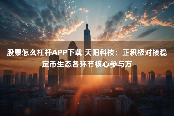 股票怎么杠杆APP下载 天阳科技：正积极对接稳定币生态各环节核心参与方