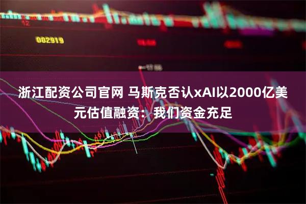 浙江配资公司官网 马斯克否认xAI以2000亿美元估值融资：我们资金充足